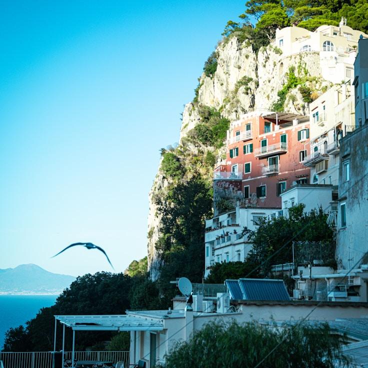 Family terraces and cafГ©s for calm evenings in Portland